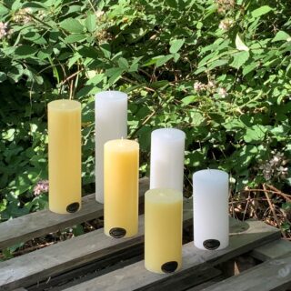 White Rose Candles
